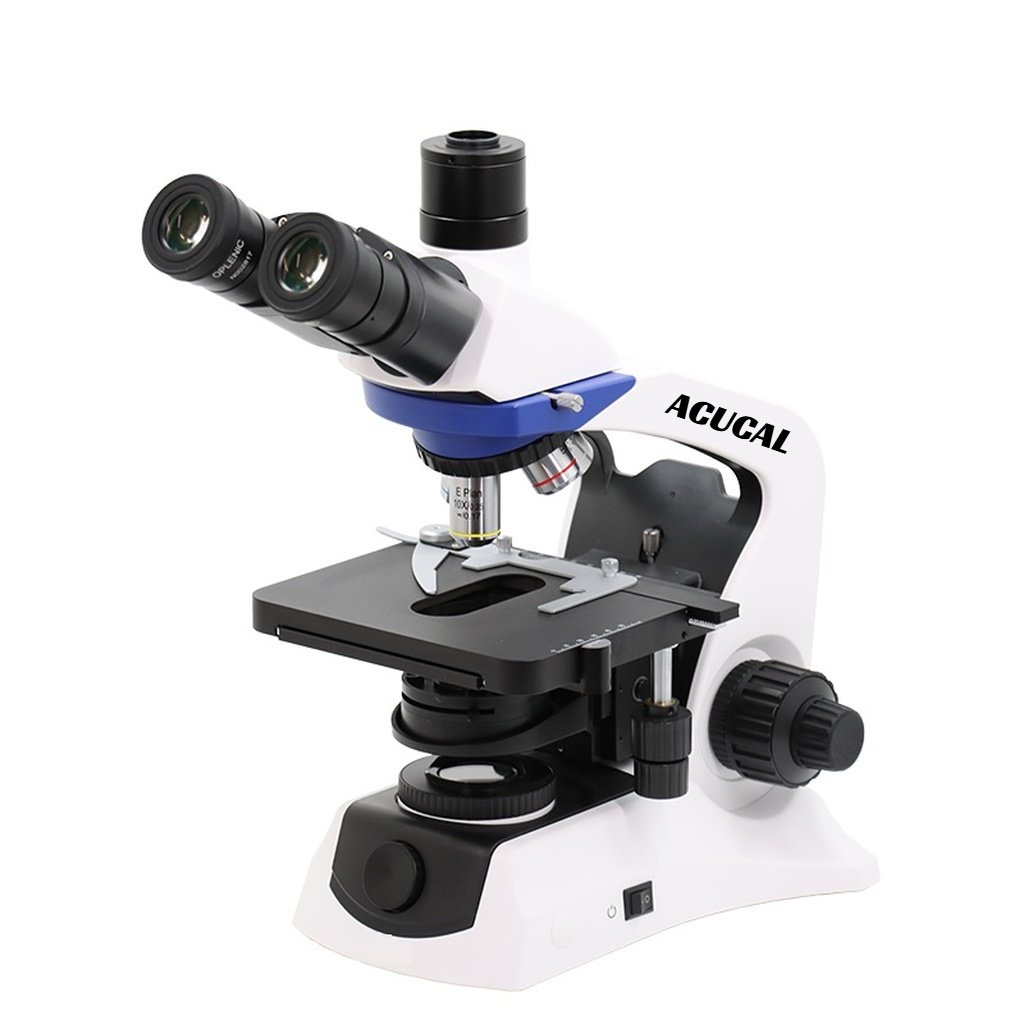 Product View